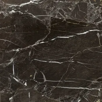 Noir Atrium marble